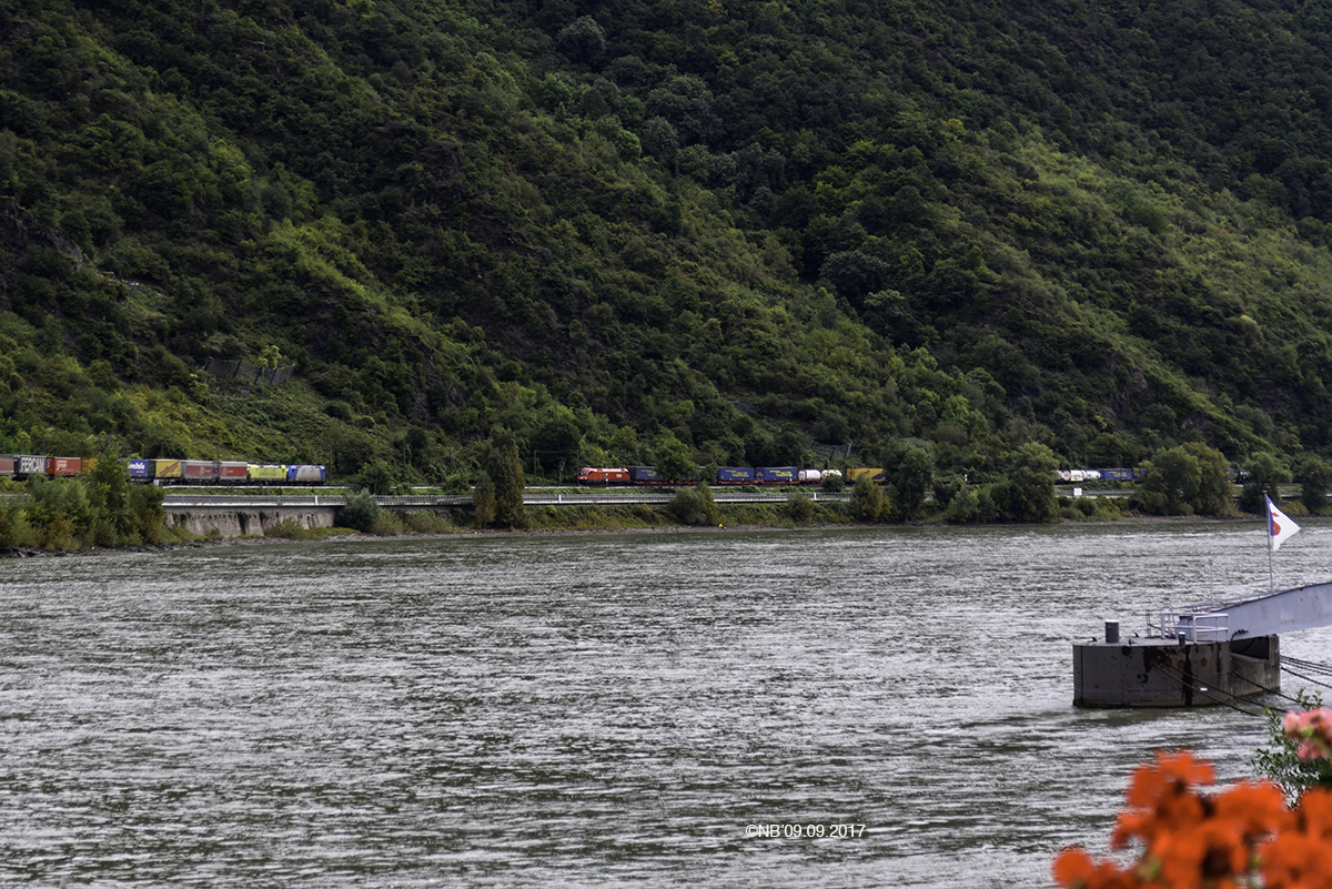 Man trifft sich am Rhein