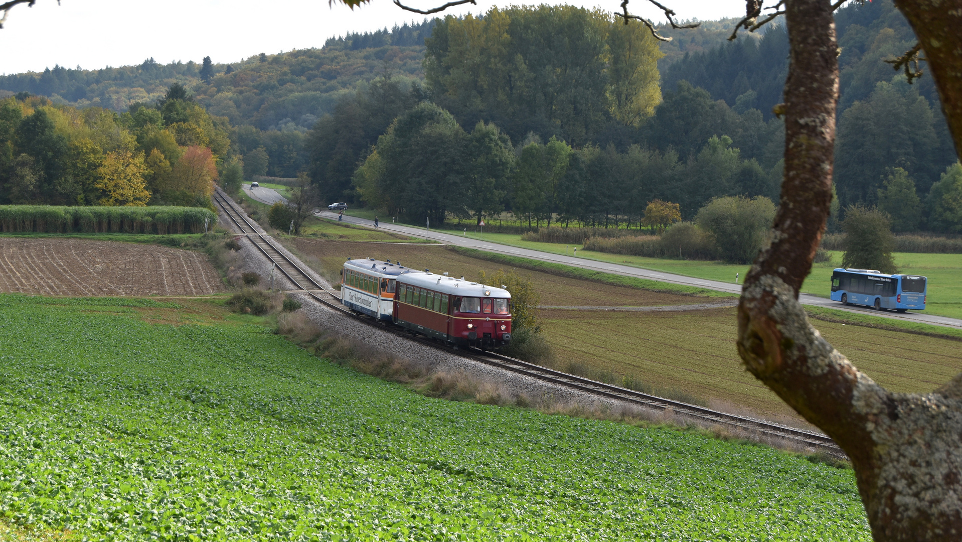 MAN Vt der Eisenbahnfreunde Breisgau auf der Krebsbachtalbahn bei Neckarbischofsheim 18.10.2020