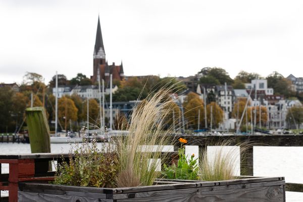 Man wächst mit seinen Pflanzen.