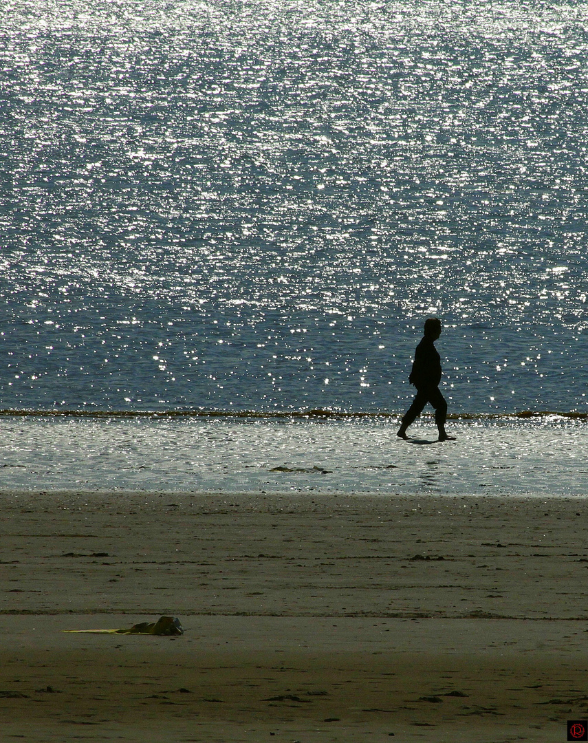 man walking along the north-sea