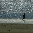 man walking along the north-sea