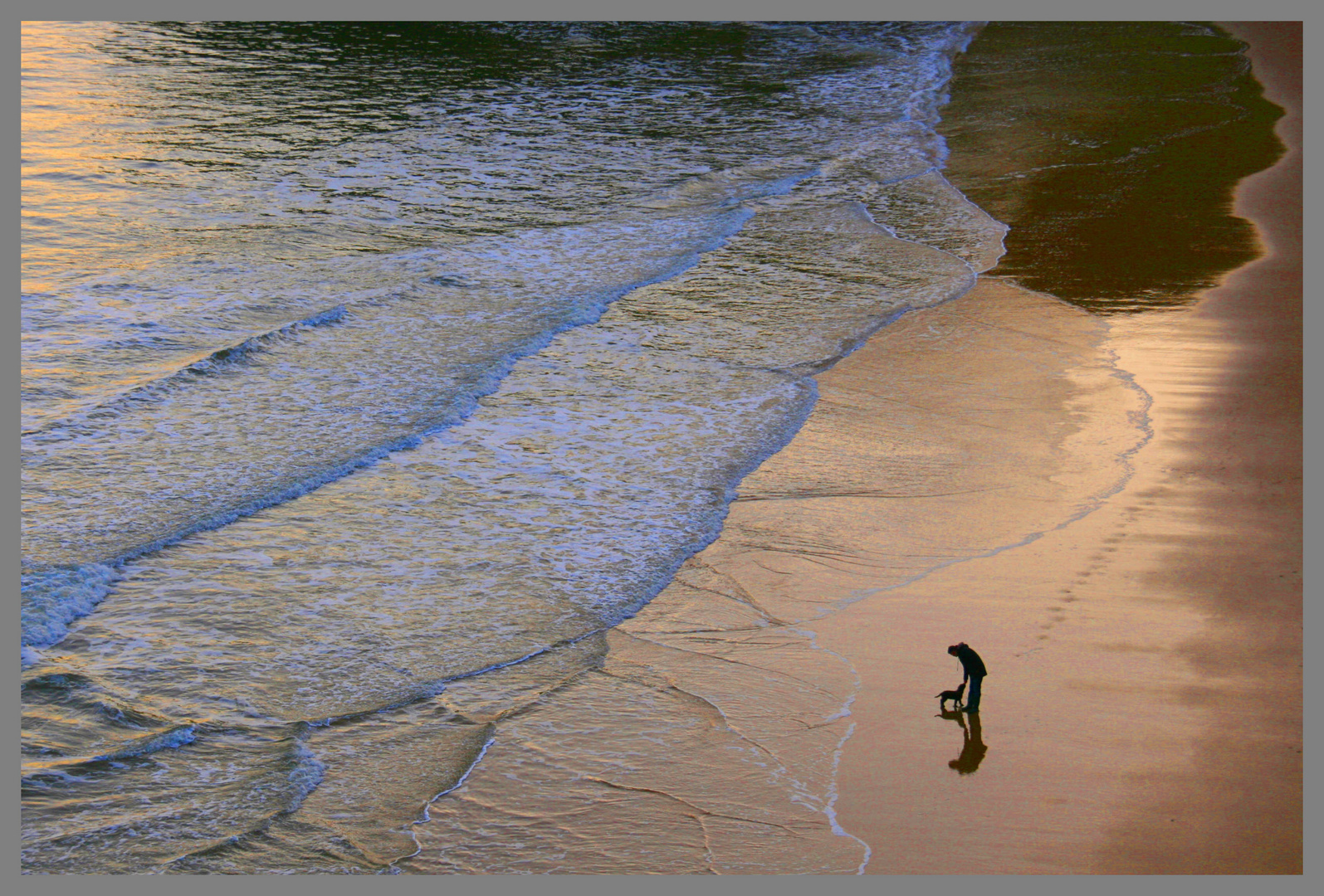 man walking dog king edwards bay 3