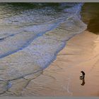 man walking dog king edwards bay 3