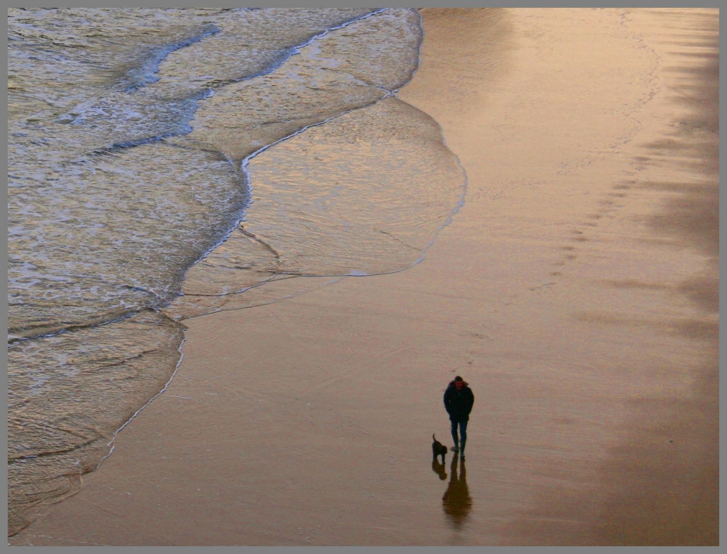 man walking dog king edwards bay Tynemouth