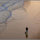 man walking dog king edwards bay Tynemouth