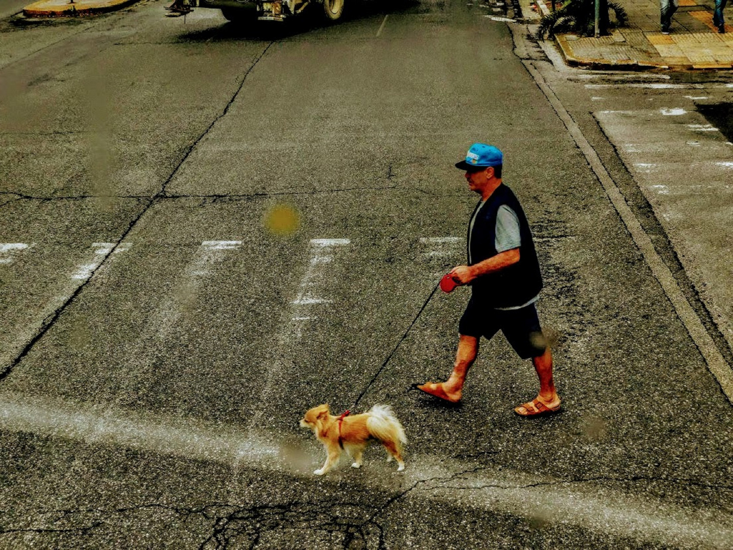 man walking his dog near victoria square athens