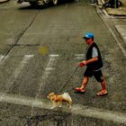 man walking his dog near victoria square athens