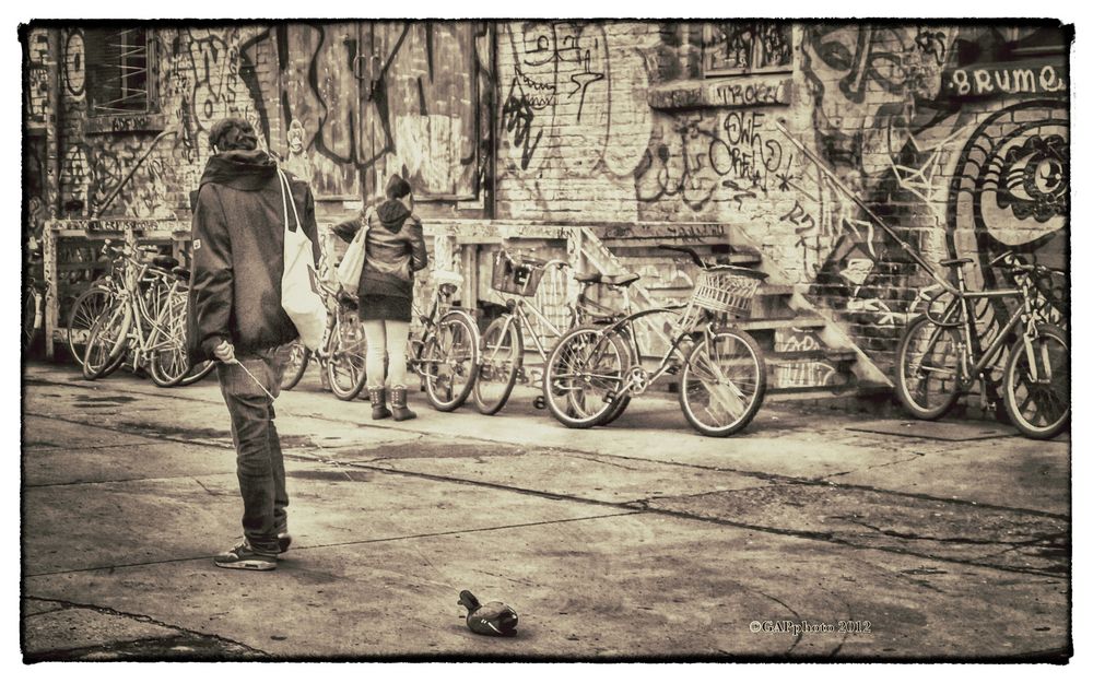 Man walking his Duck