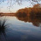 man wartet auf den frühling