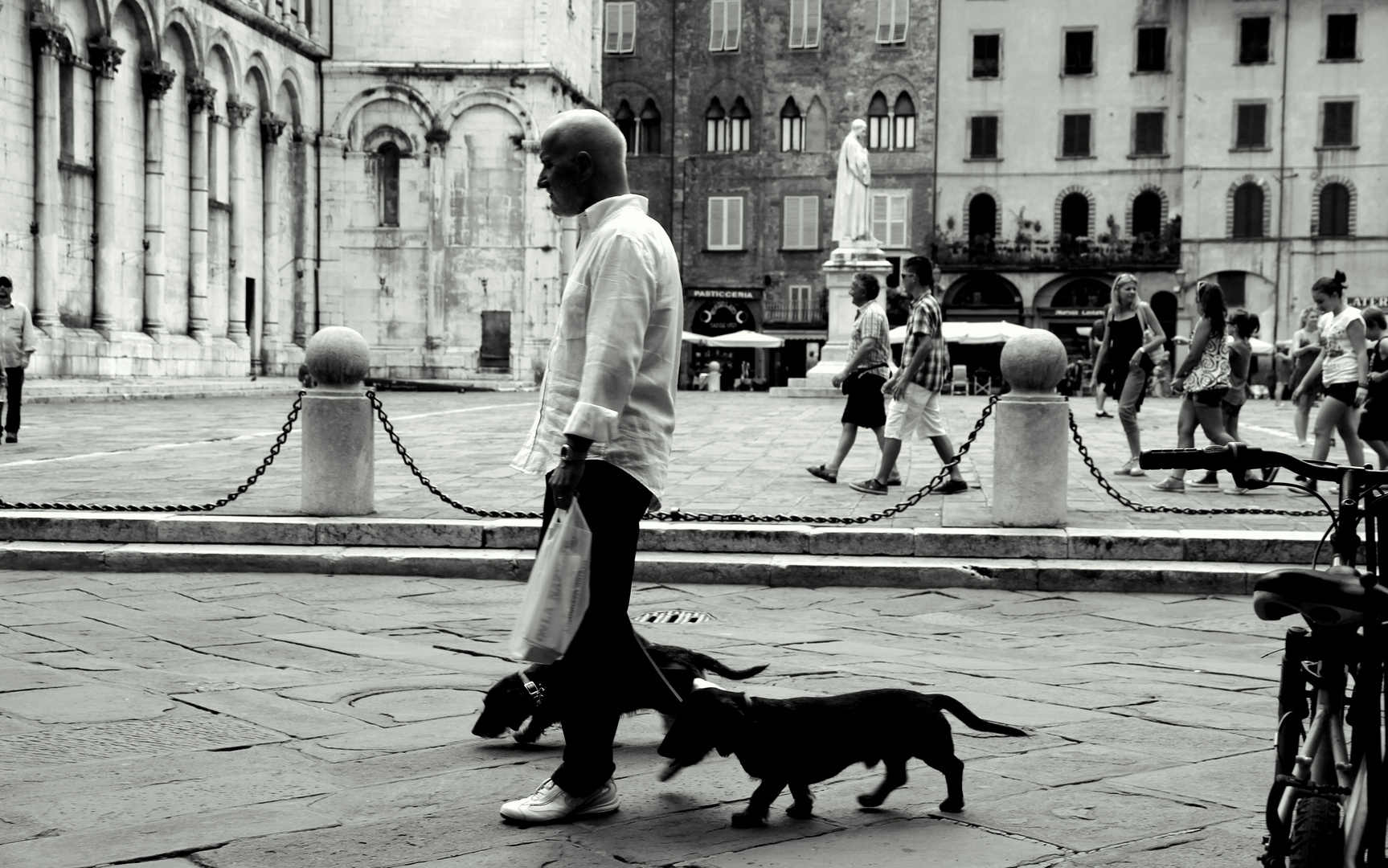 Man with Dogs and Newspaper