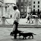 Man with Dogs and Newspaper