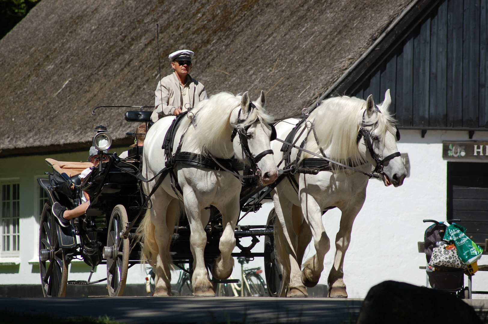 Man with horse wagon