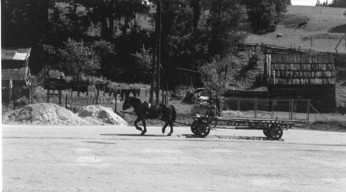 Man with horse, will travel