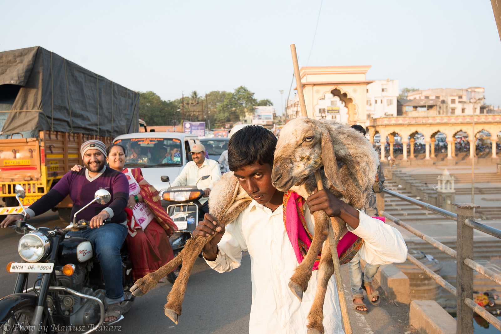 Man with sheep ORYGINAL