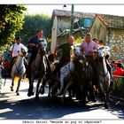 Manade au Puy st reparade