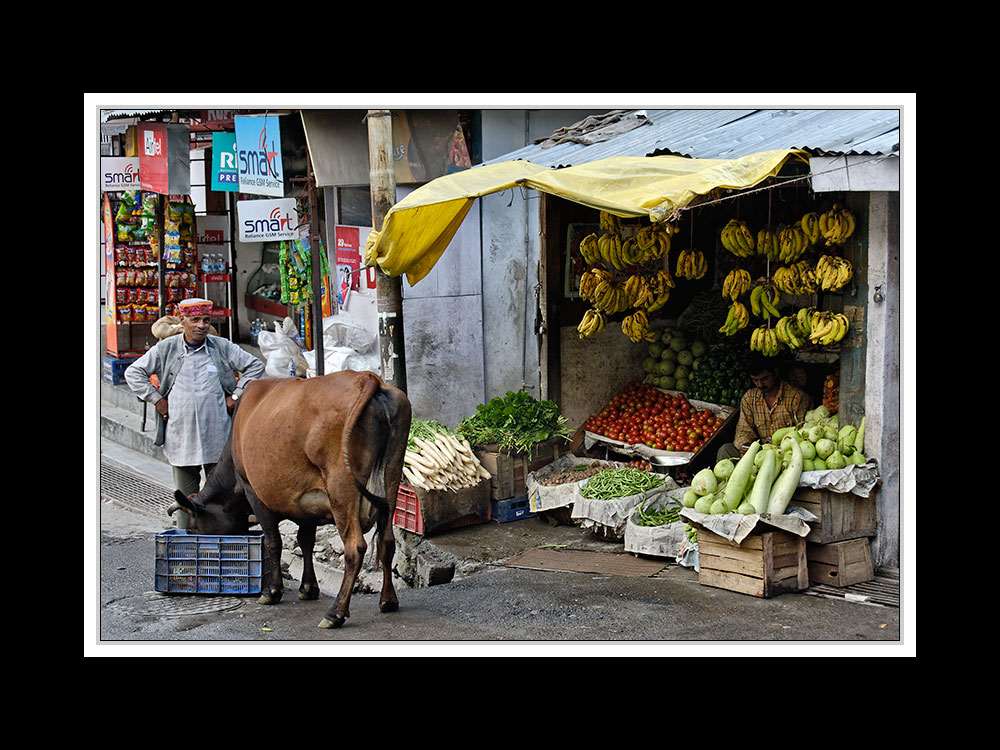 Manali 03