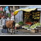 Manali 03