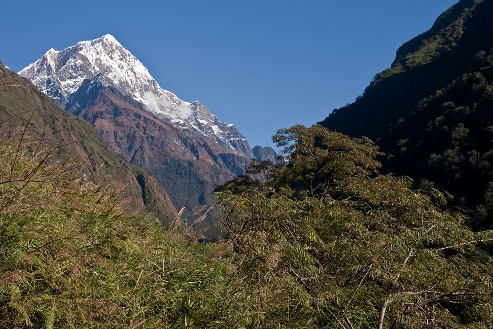 Manapati 6.380 m