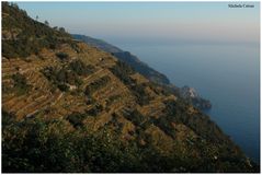 Manarola