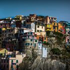 Manarola #1