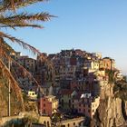 Manarola