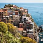 manarola