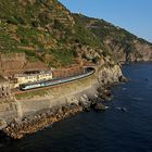 Manarola