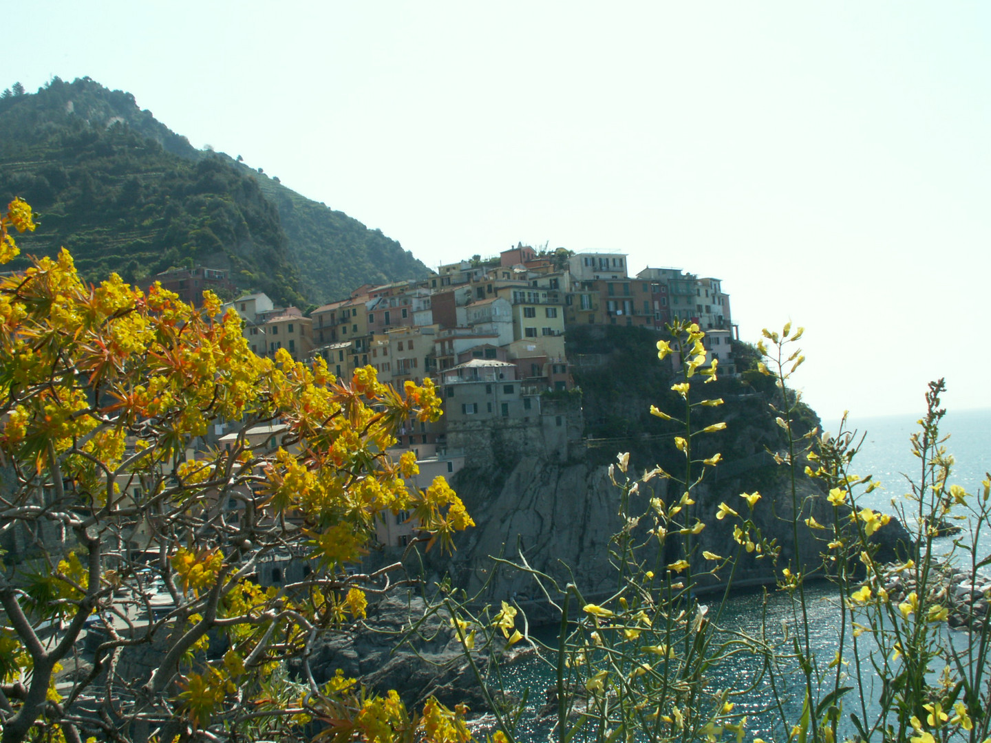 manarola