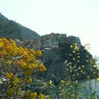 manarola