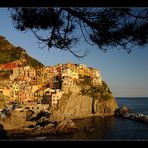 ~ ~ ~ Manarola ~ ~ ~