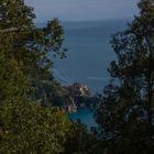 Manarola