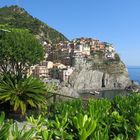 Manarola - Cinque Terre