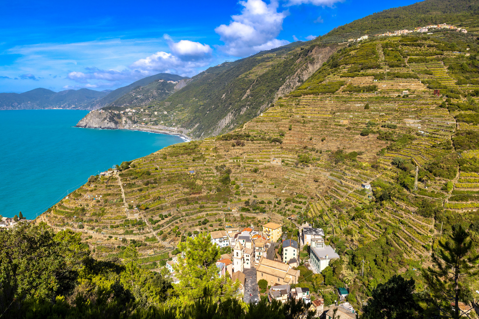 MANAROLA - CINQUE TERRE