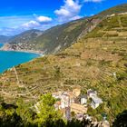 MANAROLA - CINQUE TERRE