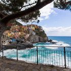 Manarola - Cinque Terre