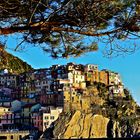 Manarola