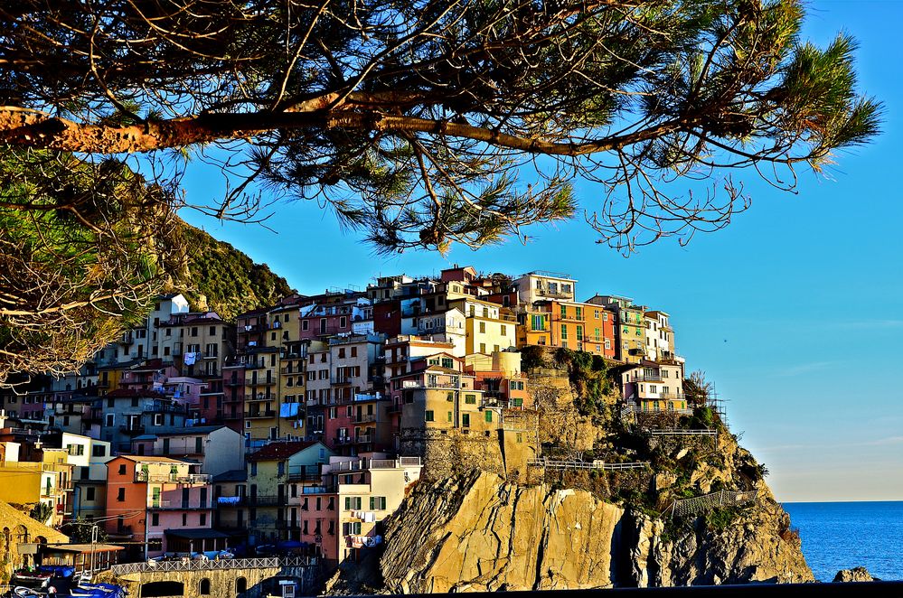 Manarola