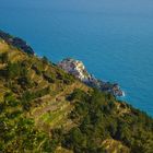 Manarola