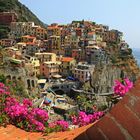 Manarola.....