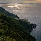 Manarola