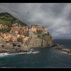 Manarola I