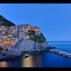 ~ ~ ~ Manarola @ night ~ ~ ~