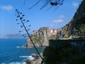 Manarola, passeggiata von Lorena Torregiani 