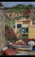 Manarola VIIII