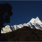 Manaslu 8163 m am Morgen