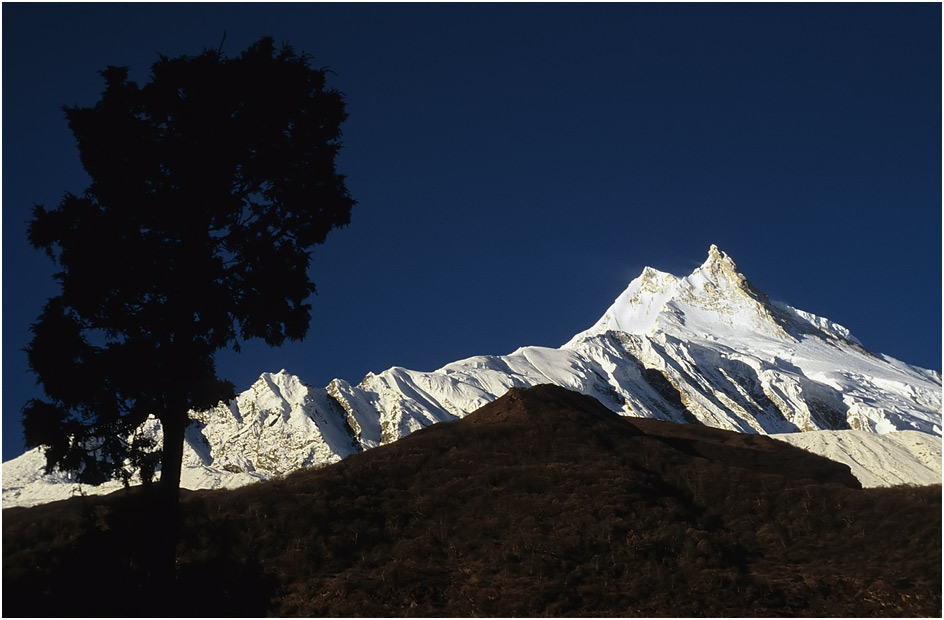 Manaslu 8163 m am Morgen