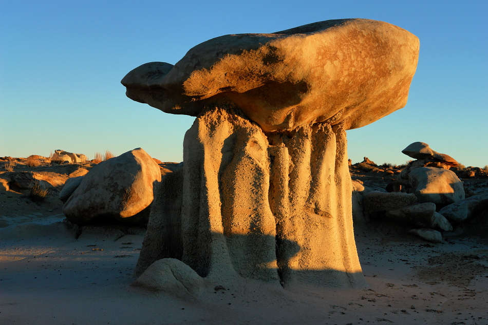 Manatee Hoodoo