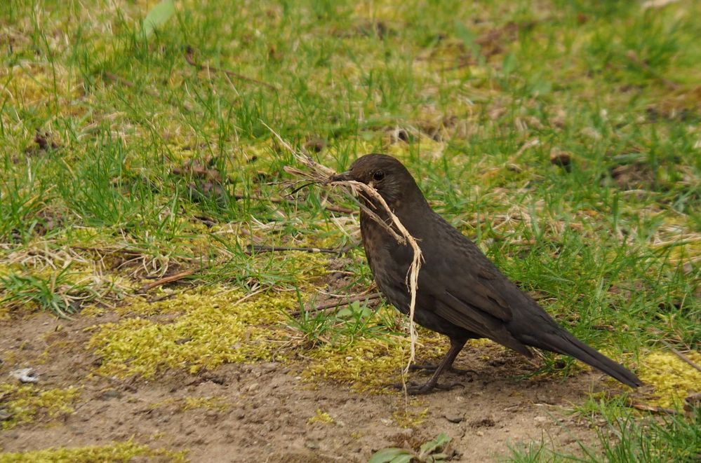 manche Baumärkte haben auch Ostermontag geöffnet