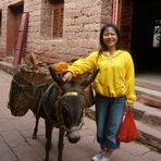 Manche Chinesinnen koennen Maenner in Lastesel verwandeln