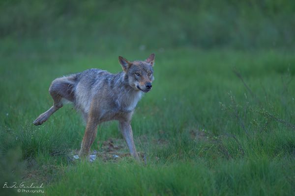 Manche Dinge können nicht warten